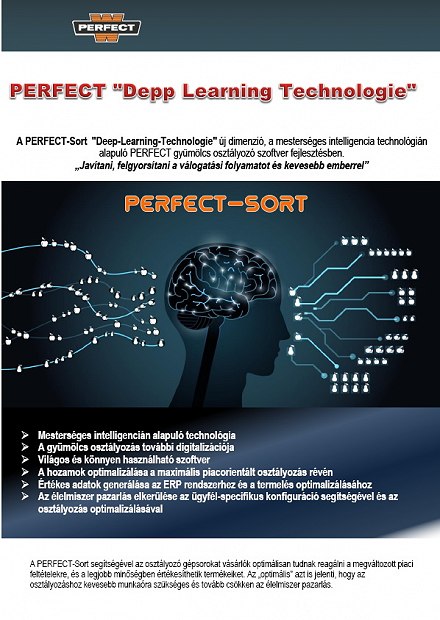 Perfect Deep Learning technologie termék leírás -HU