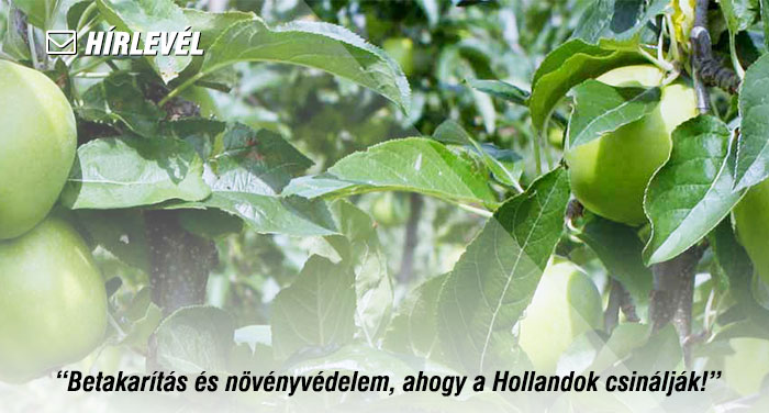 “Betakarítás és növényvédelem, ahogy a Hollandok csinálják!”