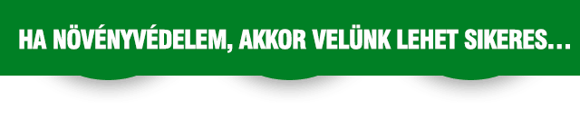 HA TALAJMŰVELÉS, AKKOR VELÜNK LEHET SIKERES…