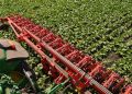 CHOPSTAR ERS 24-soros felcsukhat vzzal vdlemezzel cukorrpban_3