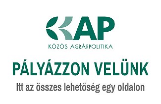 KAP PÁLYÁZAT INFORMÁCIÓK