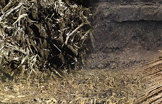 TALAJMŰVELÉS - technológia- és talajspecifikus gyakorlata és eszközei fókuszban a Min-Till és No-Till