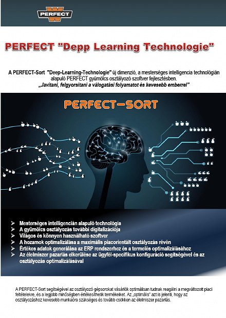 Perfect Deep Learning technologie termék leírás -HU Perfect Deep Learning technologie termék leírás -HU