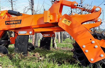 PERFECT WBG sorköz lazító _Szőlő - Gyömölcs