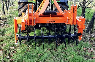 PERFECT GB sorköz gyepszellőztető_Szőlő - Gyömölcs