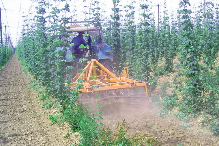 PERFECT SKYROS sorköz VARIO rövidtárcsa_Szőlő - Gyömölcs