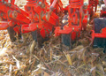 SD-1605 vgtrcss csoroszlyk munka kzben kukorica mulch direktvets